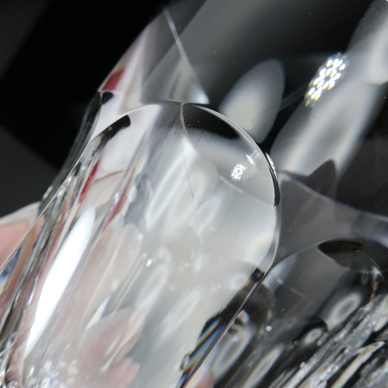 [Baccarat] HARCOURT Tableware Tumbler x 2 (M) 9.5 (cm) Crystal HARCOURT _