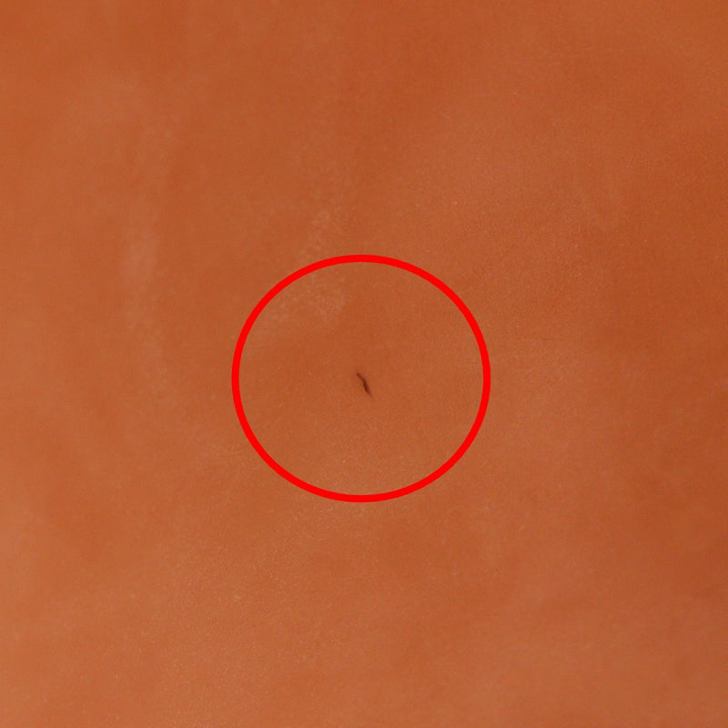 [Bottegaveneta]BOTTEGA VENETA Bolsos reversibles de leopardo leopardo impresión poliuretano x vinilo marrón/bolso rosa A4 Abierta B-Rank de mujer reversible para mujeres reversibles