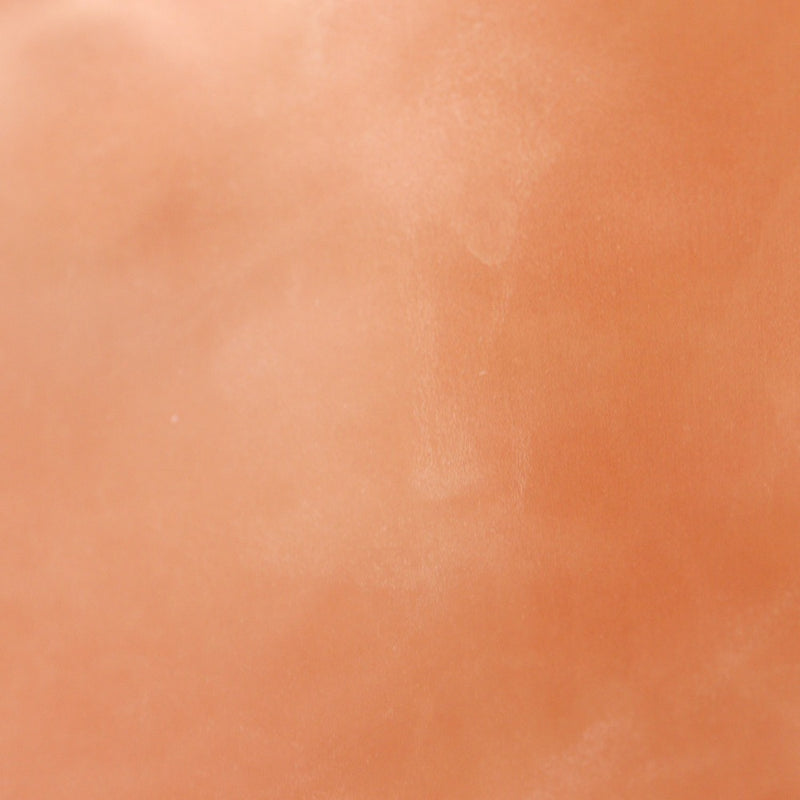 [Bottegaveneta]BOTTEGA VENETA Bolsos reversibles de leopardo leopardo impresión poliuretano x vinilo marrón/bolso rosa A4 Abierta B-Rank de mujer reversible para mujeres reversibles