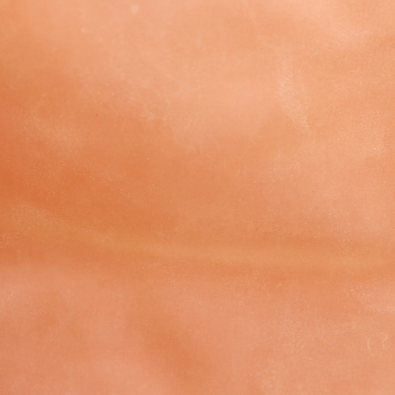 [BOTTEGAVENETA]BOTTEGA VENETA bolso reversible