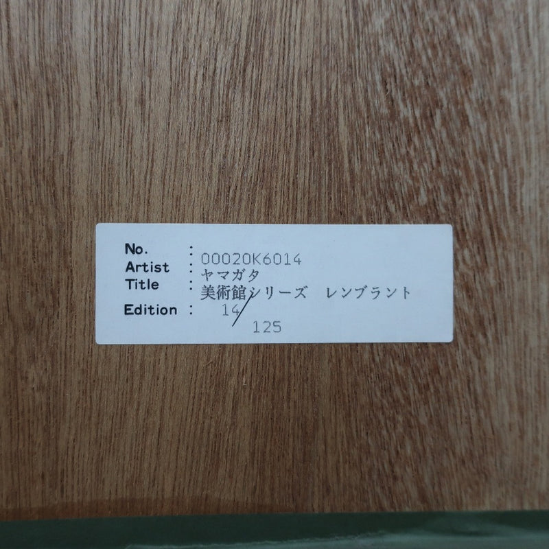 [Hiro Yamagata] Hiroyama Gata Hiroyama Gata [Rembrandt] 그림