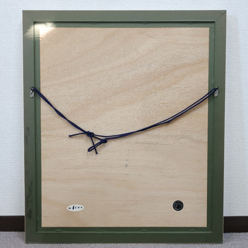 [Hiro Yamagata] Hiroyama Gata Hiroyama Gata [Sura] 그림