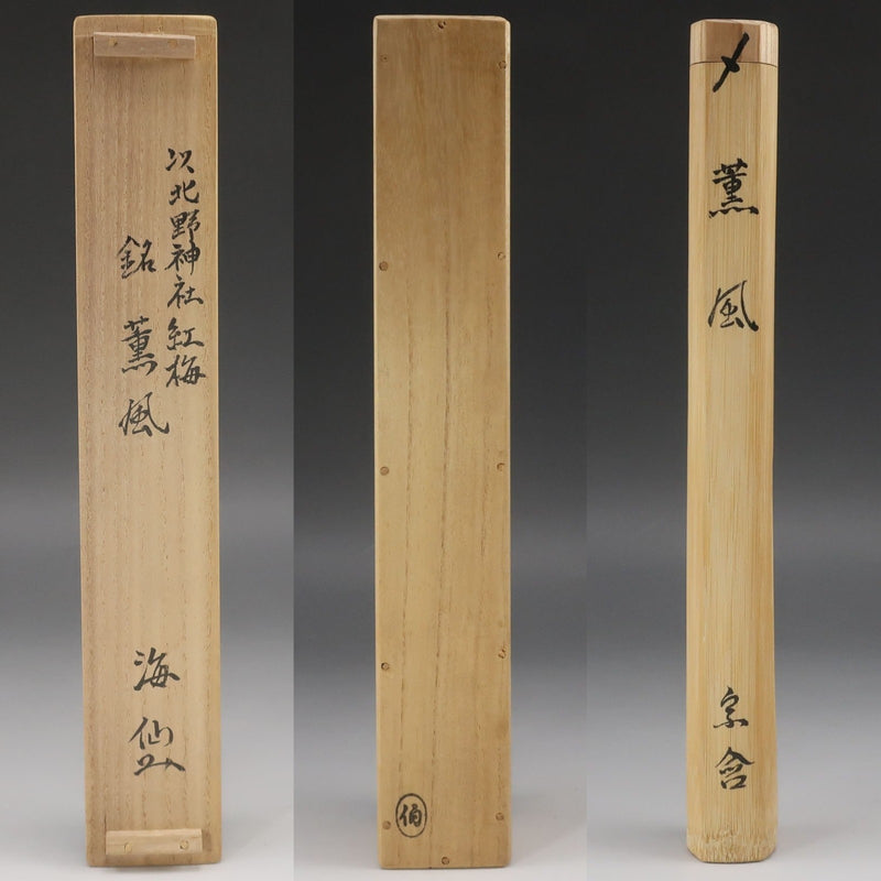 工芸品 茶杓 井口海仙