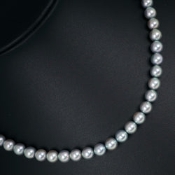 [TASAKI] Tasaki 
 Pearl necklace 
6.5 to 7.0mm Pearl x Silver Approximately 29.1g Pearl Ladies A-Rank