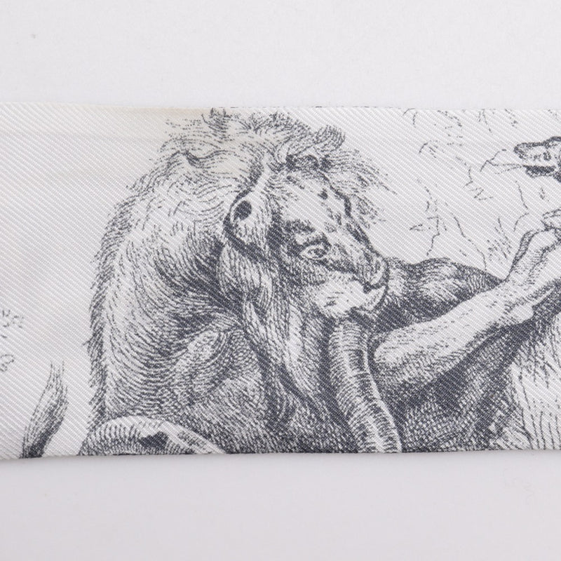 [Dior] Christian Dior Mitza Scarf 15jou106i602