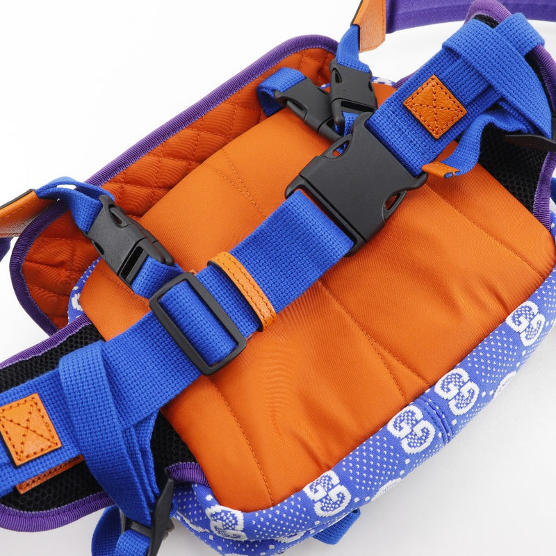 [GUCCI] Gucci GG small bag Backpack・Daypack 752100