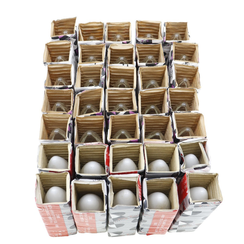 [TOSHIBA] Toshiba TOKI [35 pièces] Ampoule de lustre clair/blanc Autres appareils électroménagers 
 100/110V25C32CE17K