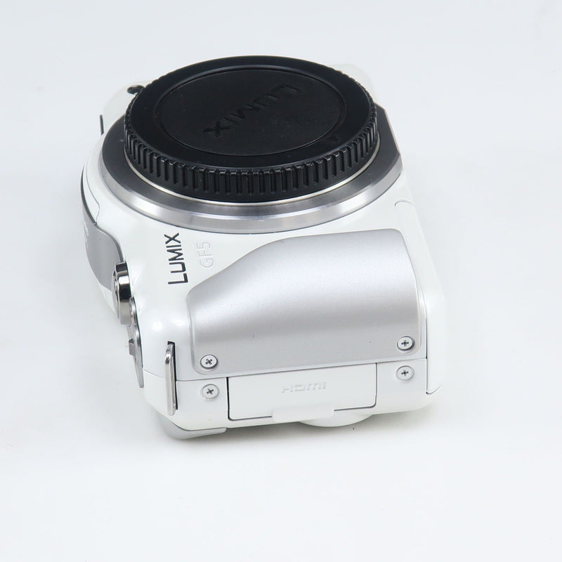 Panasonic] Panasonic LUMIX GF5 Digital Camera DMC-GF5 – NISHIKINO