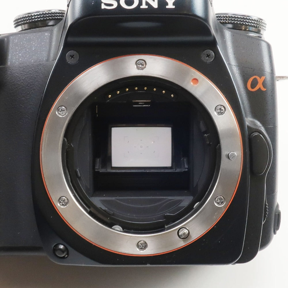 SONY】ソニー α デジタルカメラ DSLR-A100 – NISHIKINO VINTAGE KYOTO
