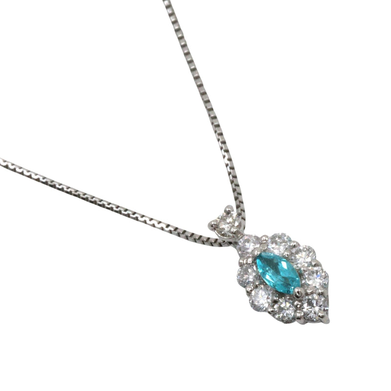 Paraiba tourmaline PtPlatinum×Diamond Necklace