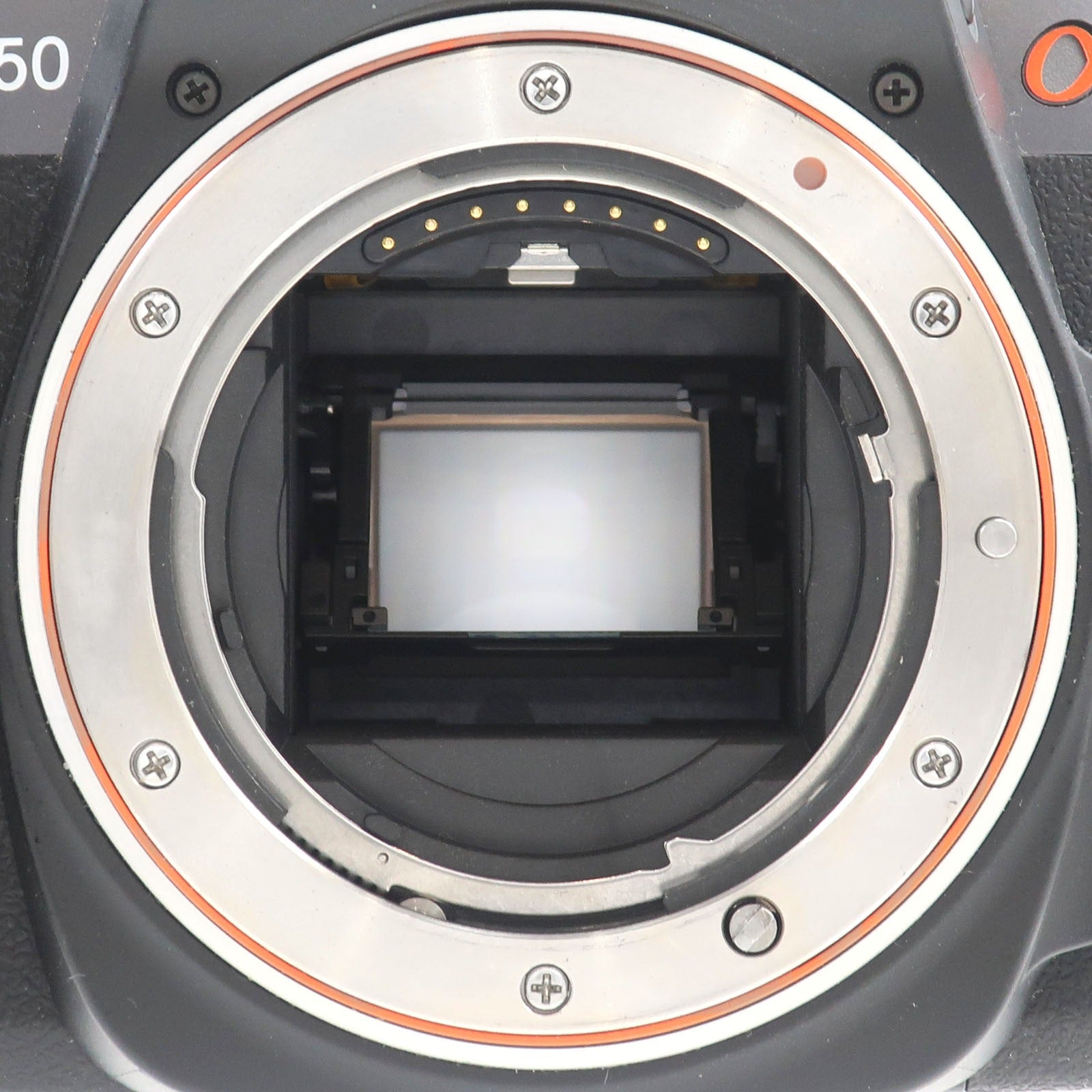 SONY】ソニー α550 デジタルカメラ DSLR-A550 – NISHIKINO VINTAGE KYOTO