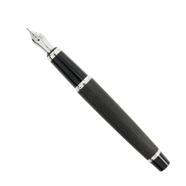 [Pilote] pilote 
 Stylo de fontaine Legno 89S 
 NIB 14K (585) M (moyen) Legno 89S _A RANG