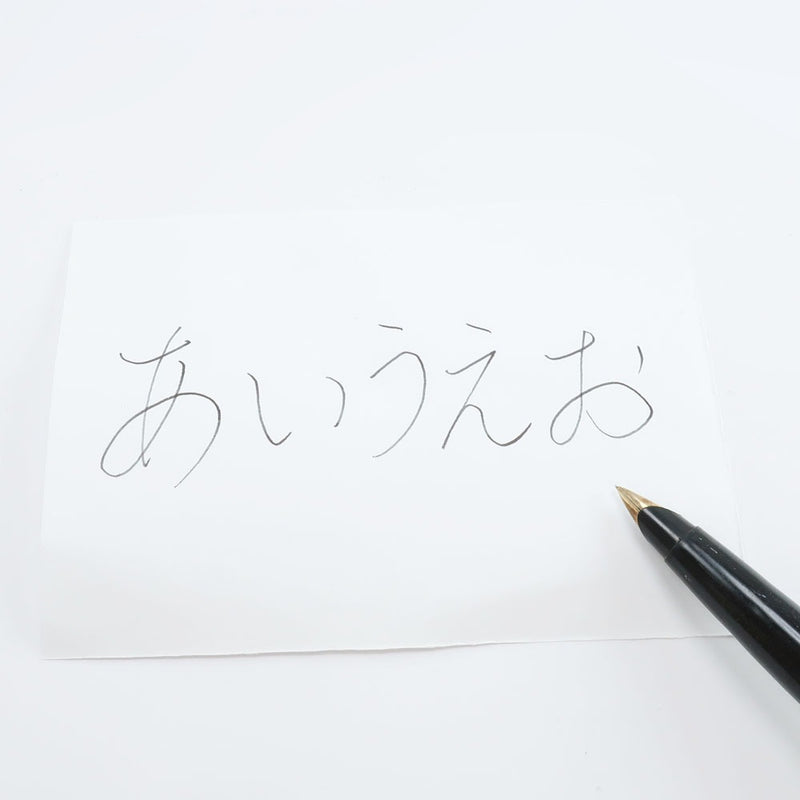 [PARKER] 파커 파커 45 만년필