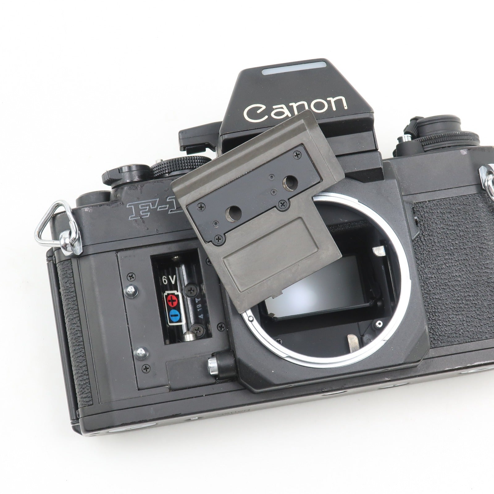 canon】キヤノン NEW F-1 フィルムカメラ – NISHIKINO VINTAGE KYOTO