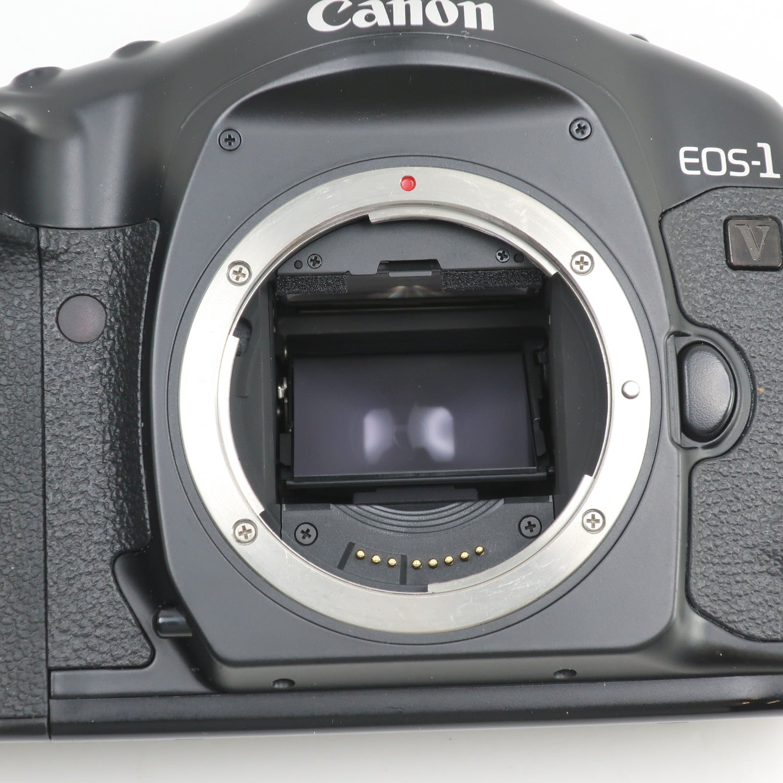 canon】キヤノン EOS-1V フィルムカメラ – NISHIKINO VINTAGE KYOTO