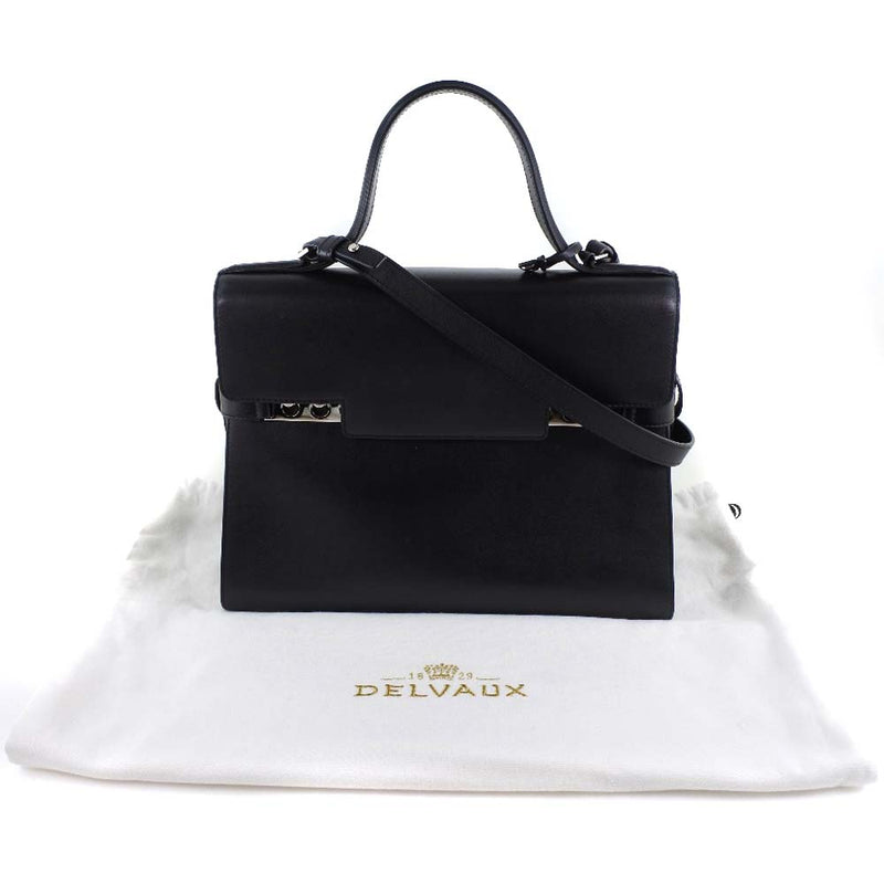 Delvaux Leather 2WAY bag Shoulder bag Gold hardware w/storage bag